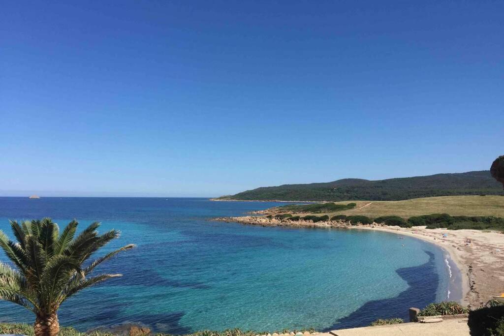 Ajaccio Magnifique T2 Neuf 40M2 Avec Balcon Au Trottel 4 Couchages Wifi Clim Parking Plage A Pieds 100M Exterior foto