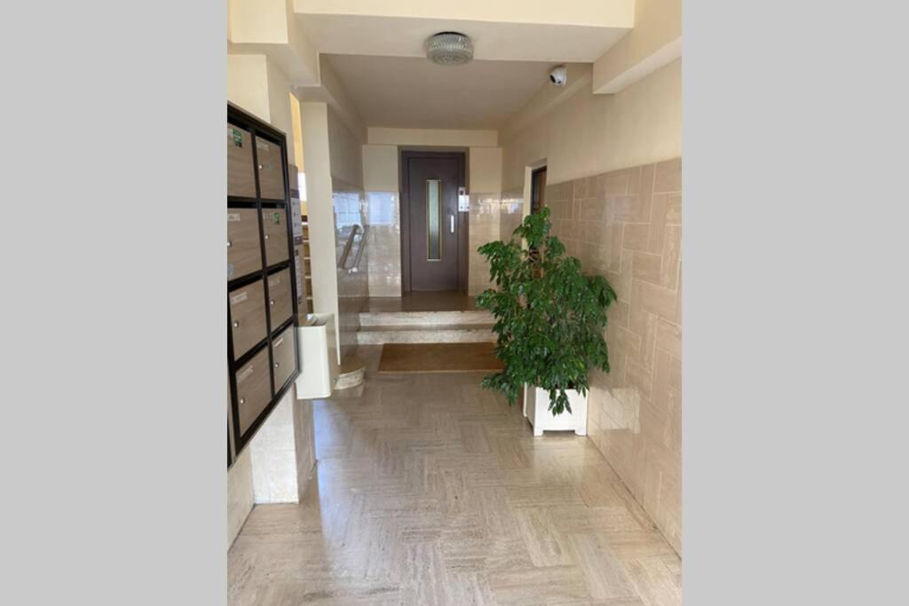Ajaccio Magnifique T2 Neuf 40M2 Avec Balcon Au Trottel 4 Couchages Wifi Clim Parking Plage A Pieds 100M Exterior foto