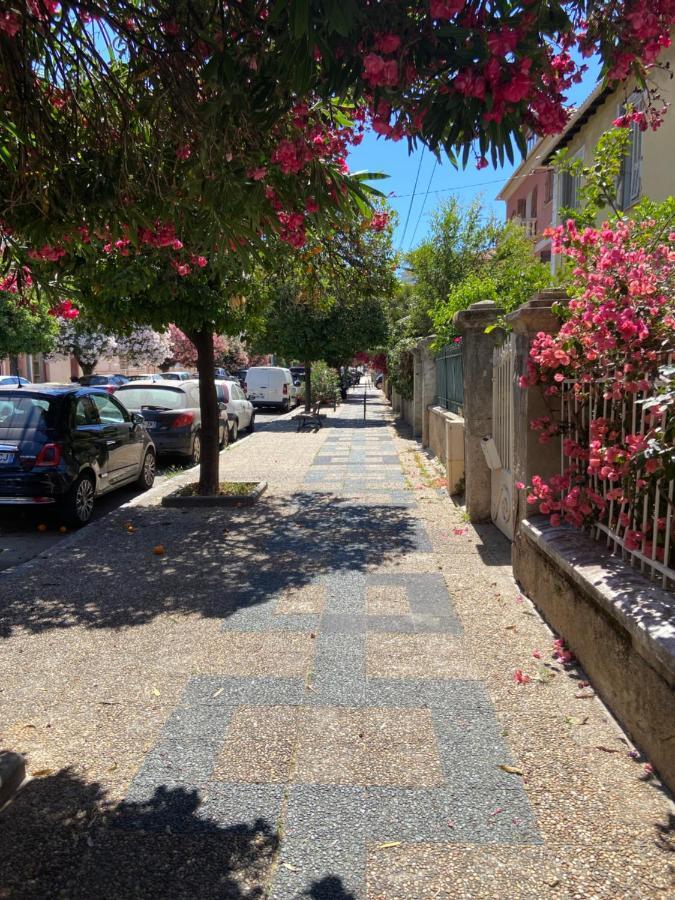 Ajaccio Magnifique T2 Neuf 40M2 Avec Balcon Au Trottel 4 Couchages Wifi Clim Parking Plage A Pieds 100M Exterior foto